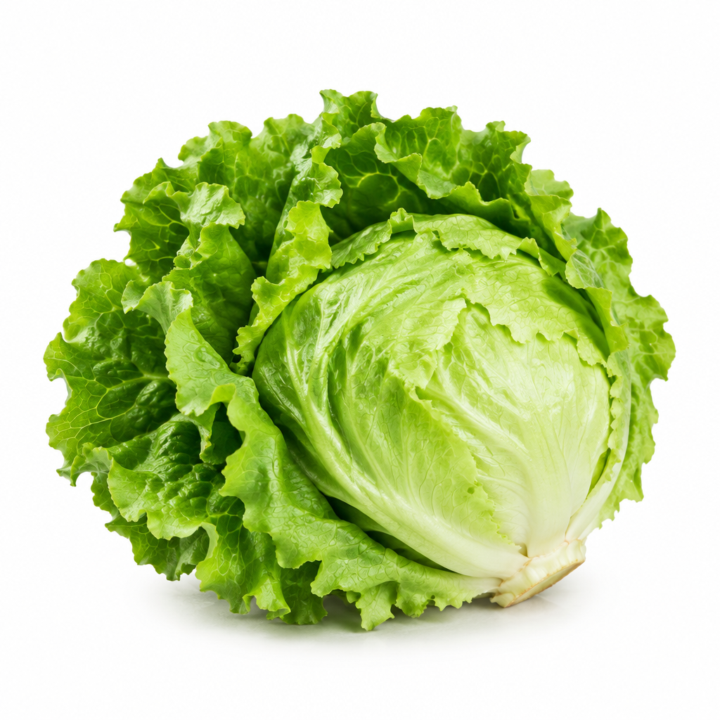 Fresh lettuce