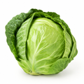 One whole fresh cabbage head